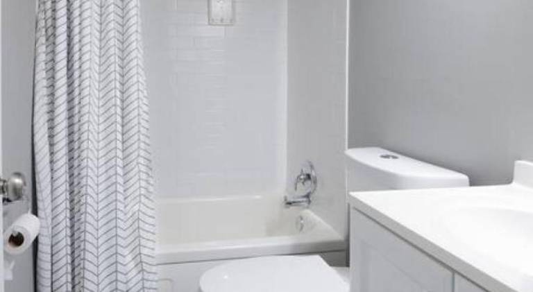 Apartment | Pet-friendly — photo 2