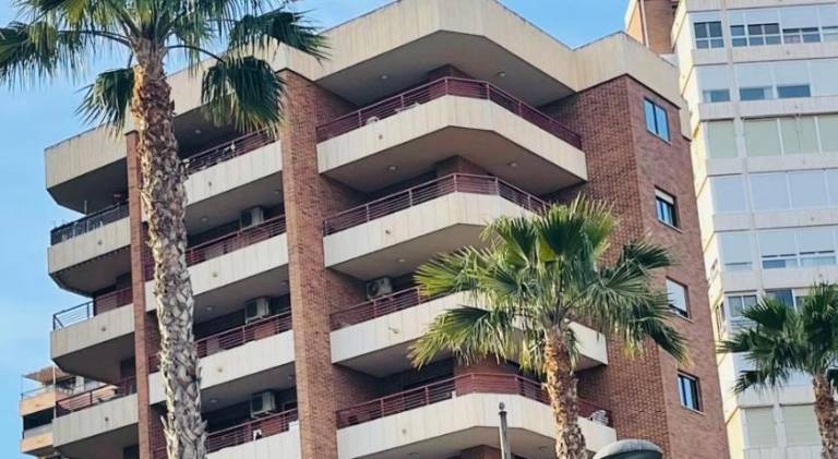Beautiful rental apartment with pool | Next to the beach | Dogs allowed in Benidorm