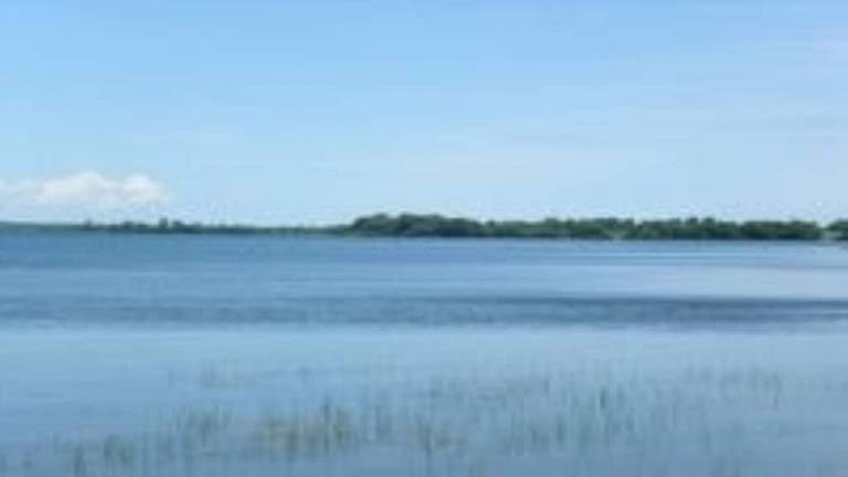 Cabin  Milford