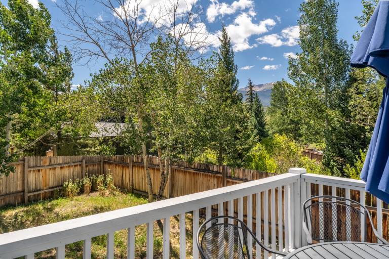 Pet-Friendly with Private Fenced-In Backyard and Beautiful Mountain Views! — photo 5
