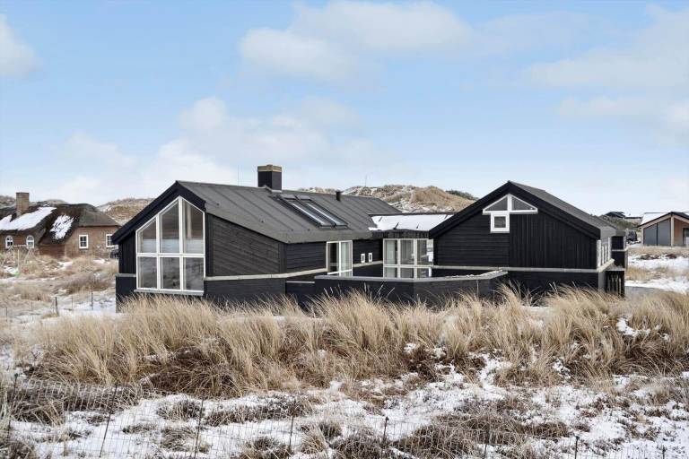 Ferienhaus mit Hund inHouvig Strand,   f&uuml;r max. 5 Personen