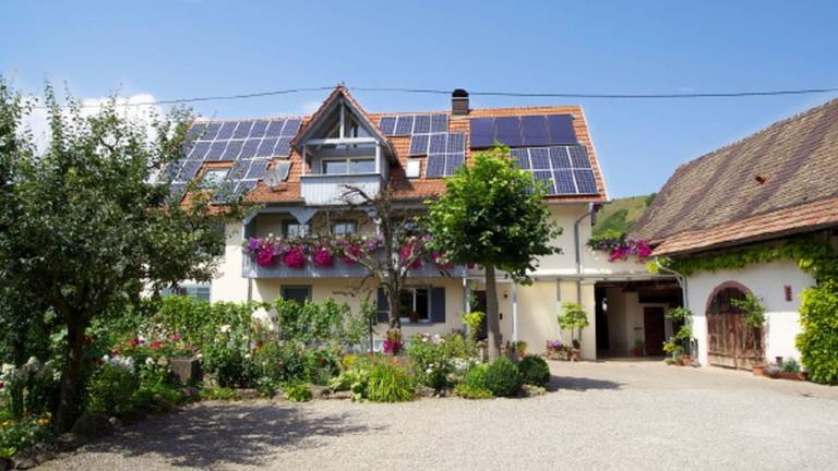 Ferienwohnung Kaiserstuhl