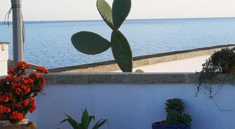 Charming apartment | Pets are welcome in Patu
