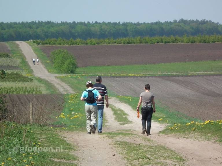 foto19