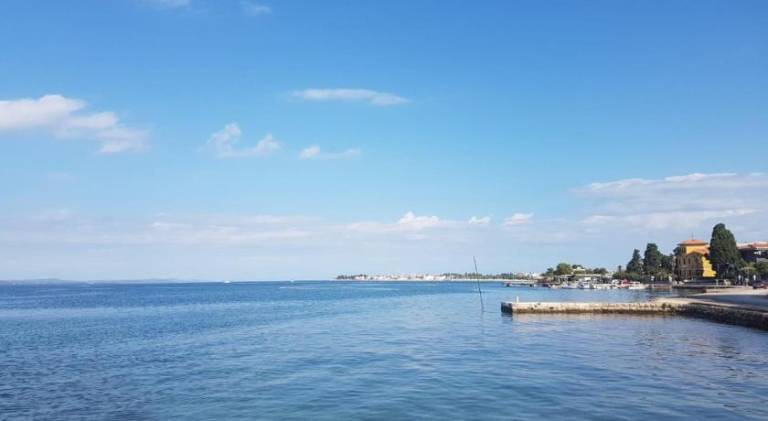 Pleasant apartment | Pets allowed in Starigrad