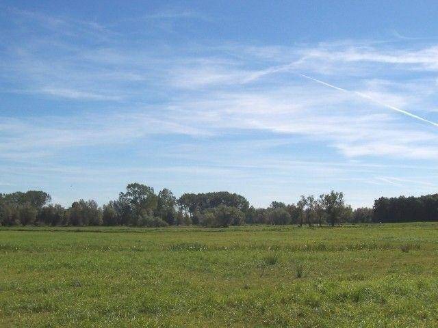 foto10