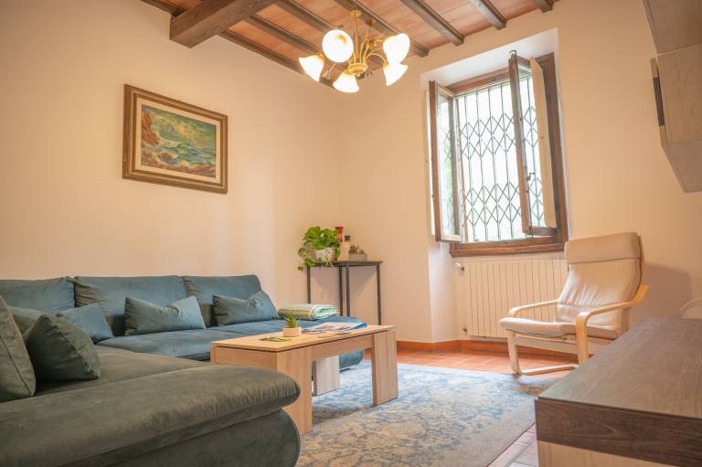 Lovely house with fast internet & garden | Garden view | Pets allowed in Santa Maria