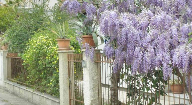 Apartment | Close to the beach | Pet-friendly in Giulianova