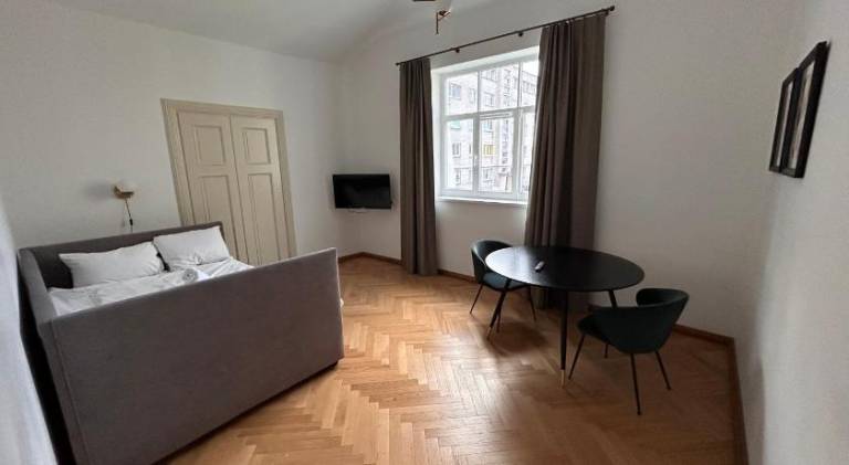 Apartment with 1 room for 2 persons in Kaunas