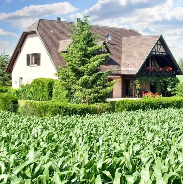 Appartement Kirrwiller-Bosselshausen