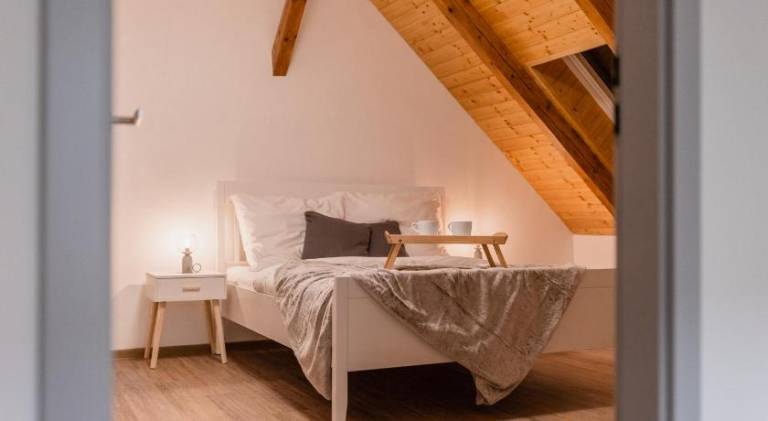 Rental apartment | Next to Saint Wenceslas Cathedral | Pets are welcome in Olomouc