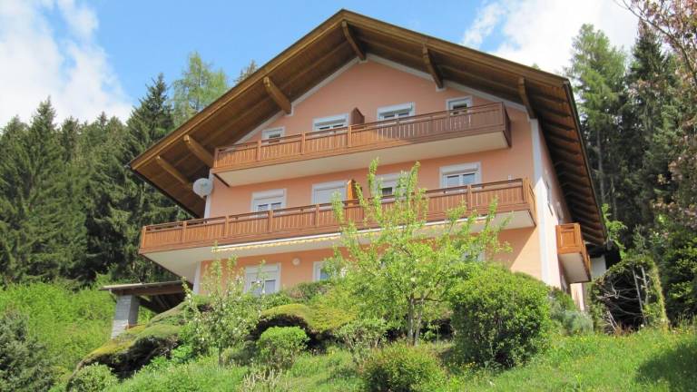 Ferienwohnung mit Hund in Millstatt f&uuml;r max. 2 Personen