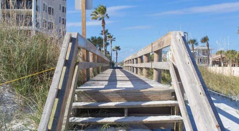 House | Close to the beach | Pet-friendly — photo 5