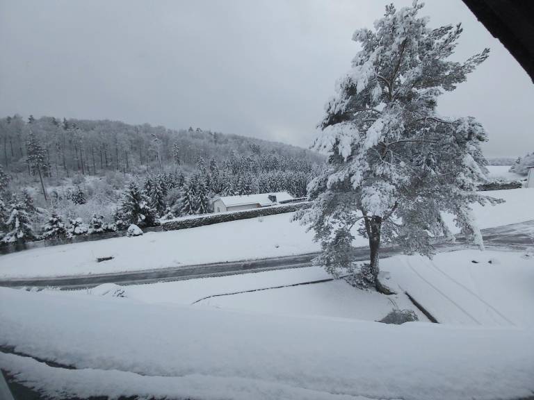 foto4