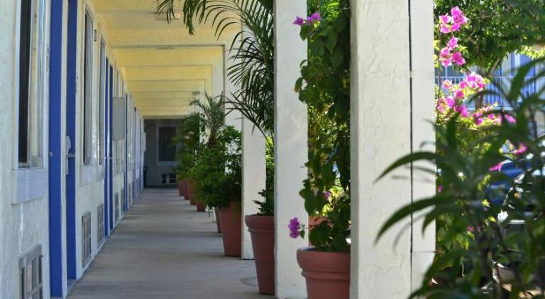 Americas Best Value Inn Bradenton Sarasota — photo 5
