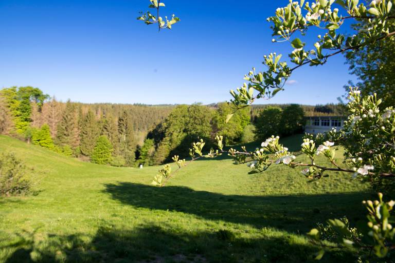 Fully equipped rental apartment with sauna, pool & terrace | Pet-friendly in Braunlage
