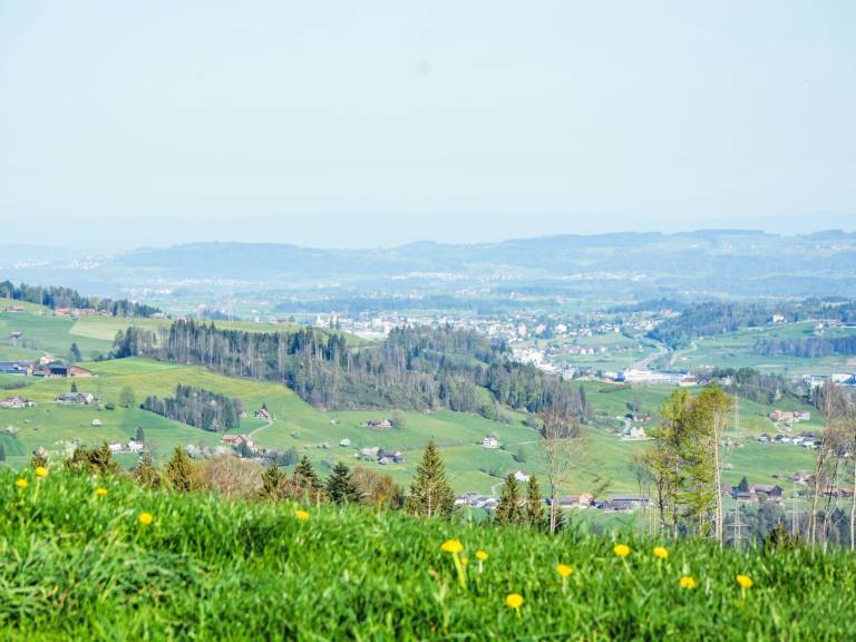 foto14