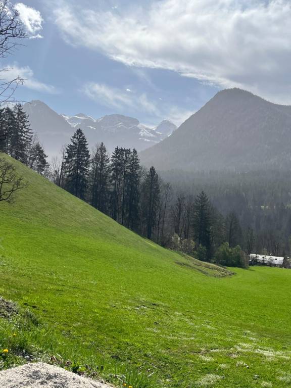 Ferienwohnung mit Hund in Strub, Bischofswiesen für max. 7 Personen Ferienwohnung mit Hund in Strub, Bischofswiesen für max. 7 Personen