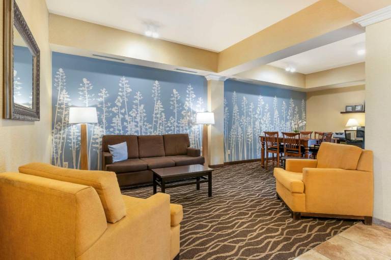 Sleep Inn & Suites Rapid City — photo 2