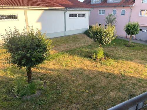 foto16