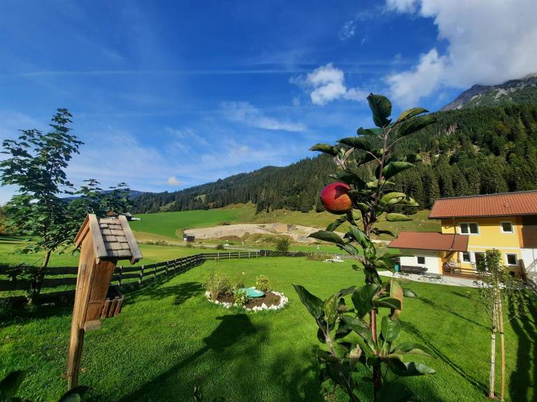 Ferienwohnung Kleinarl