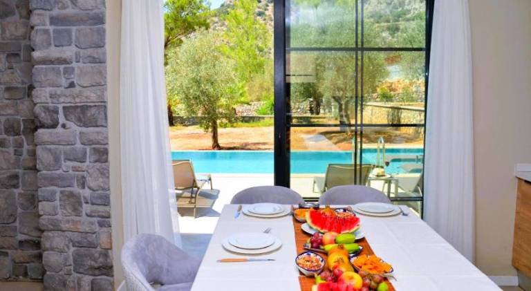 Fully equipped ample villa with terrace, grill & private pool | Good for workation | Pets are welcome — photo 3