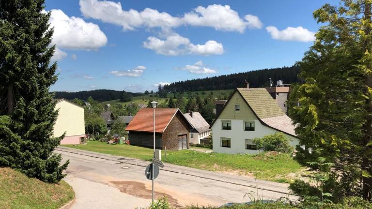 Ferienwohnung  Schönwald im Schwarzwald