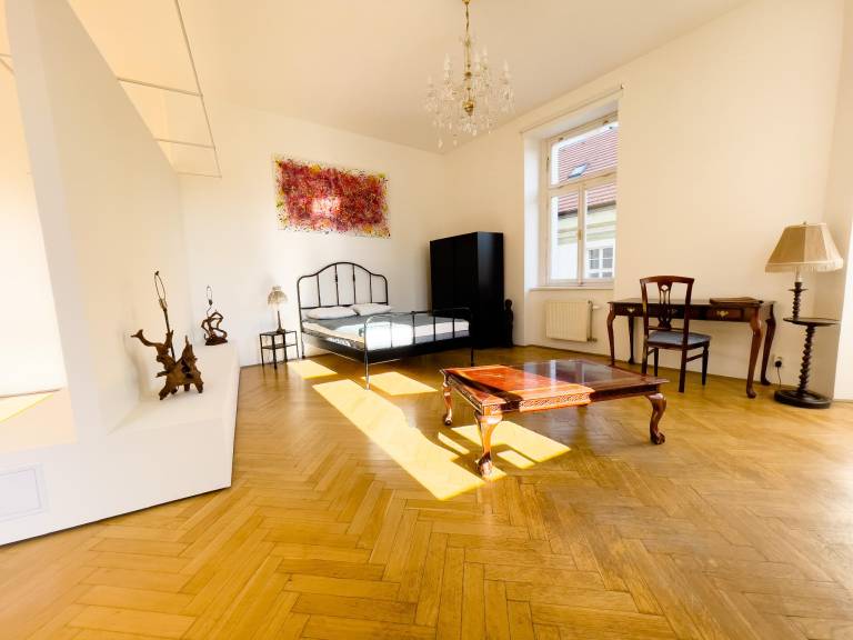 Holiday apartment | Near Wenceslas Square | Suitable for remote work | Pets are welcome in Prague