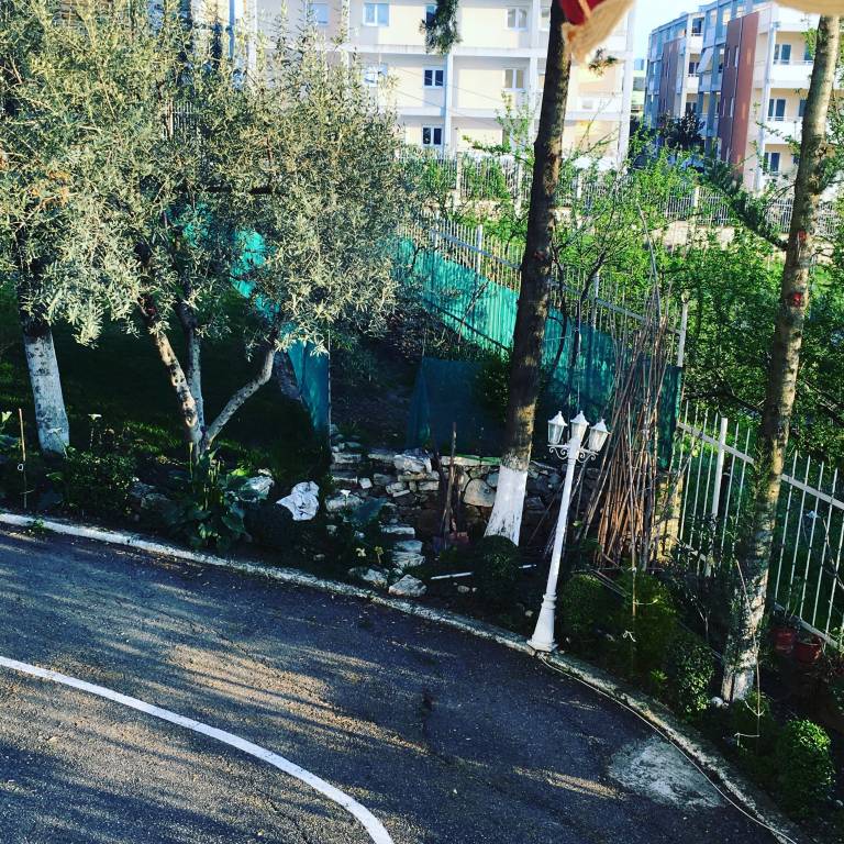 foto20