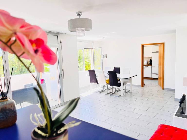 Apartment Brissago