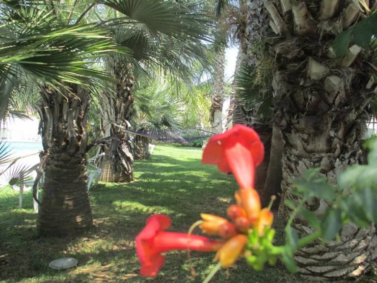 foto21