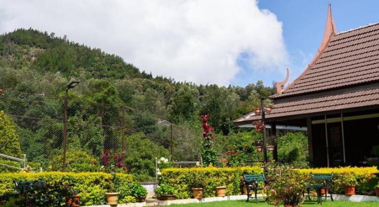 Bed and breakfast Coonoor