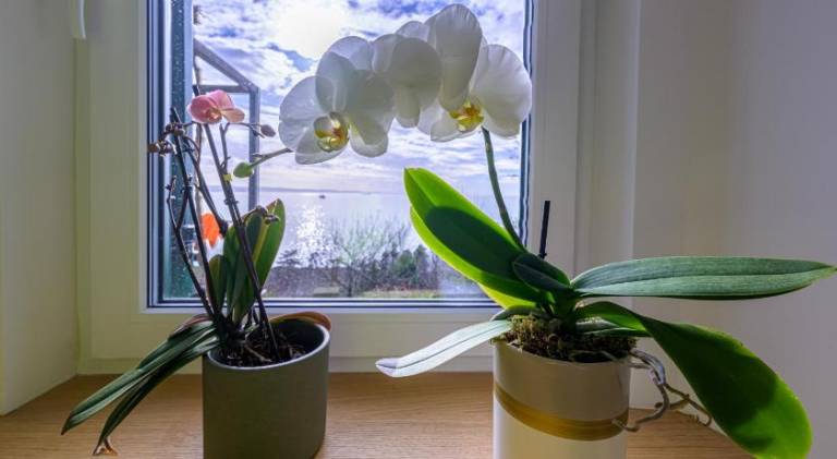 foto20