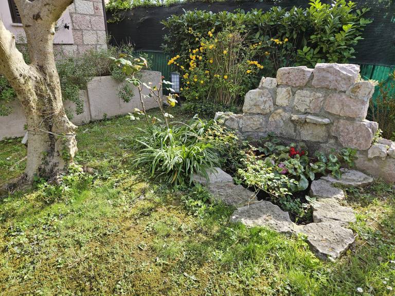 foto20