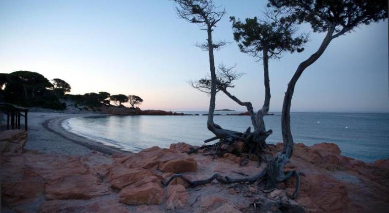 Residence U LATONU - Palombaggia in Porto-Vecchio
