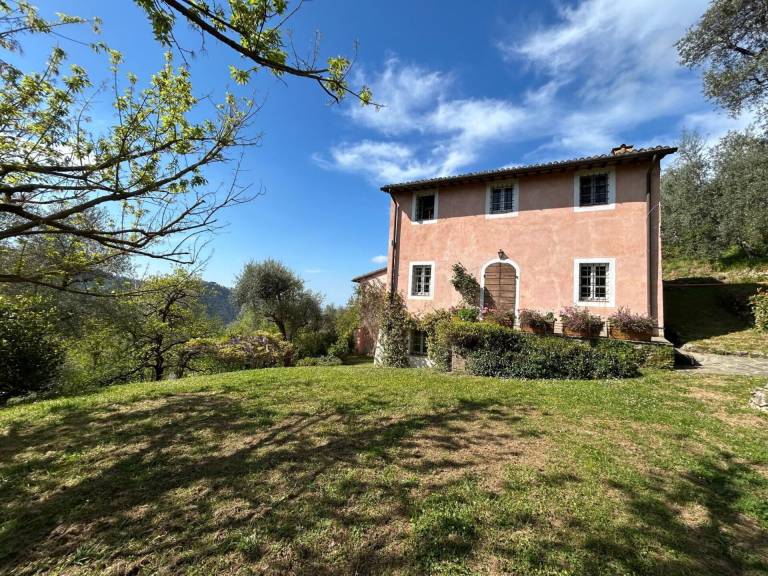 Camaiore Holiday Home, Wifi, Pet Friendly, La Casa Dei Limoni — photo 5