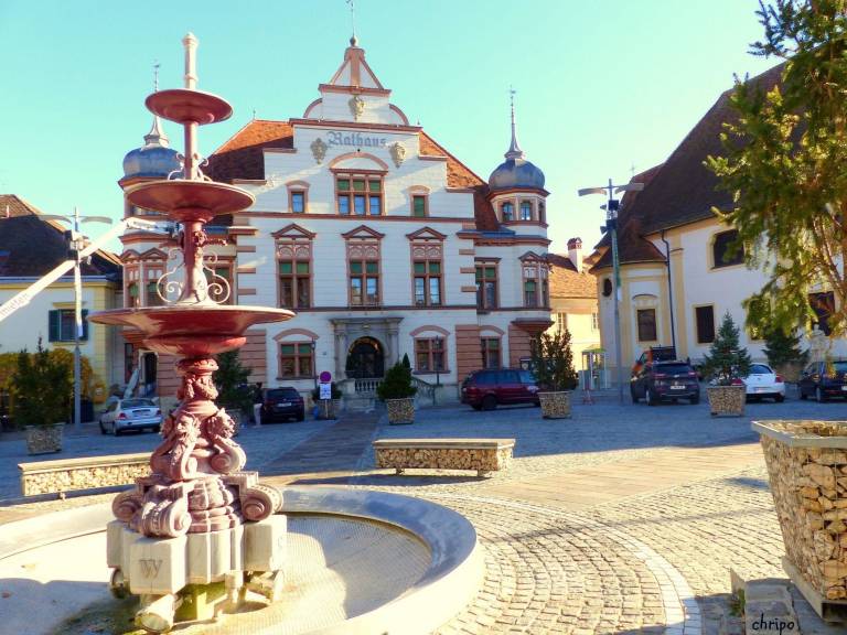 foto19