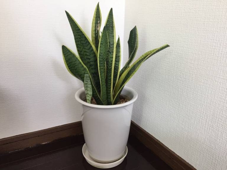 foto26