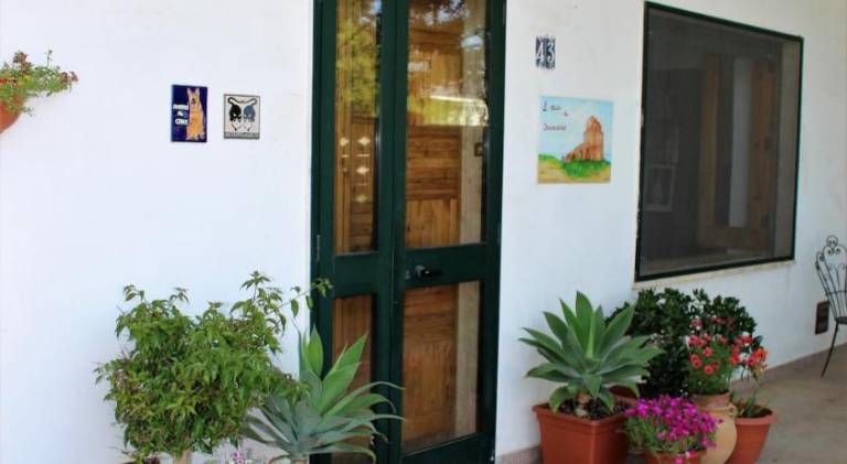 Rental apartment | Close to the beach | Dogs allowed — photo 3