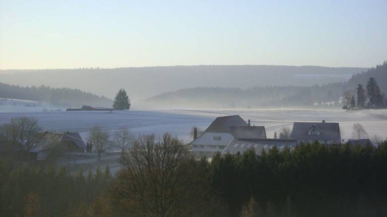 Ferienwohnung Gutach (Schwarzwaldbahn)