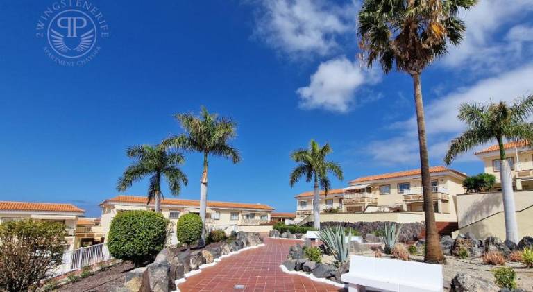 Fully equipped charming rental apartment with terrace, yard & pool | Dogs allowed — photo 4