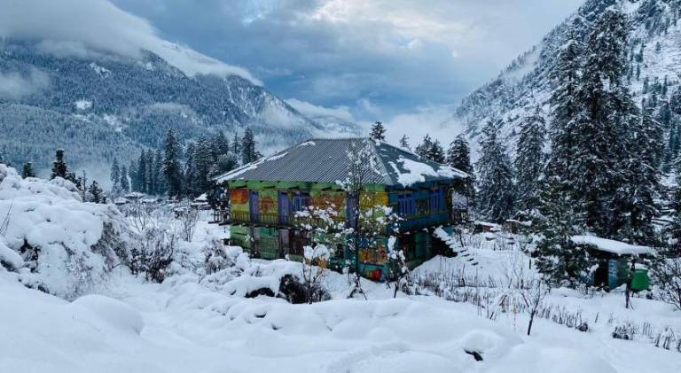 Gypsy House — photo 5