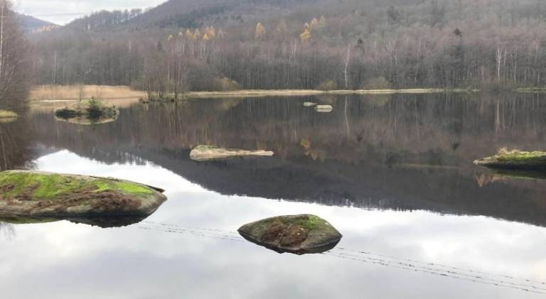 foto43