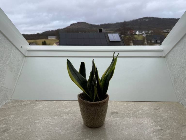 foto17