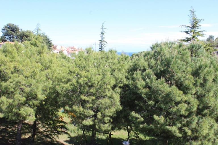 Holiday apartment with terrace — photo 5