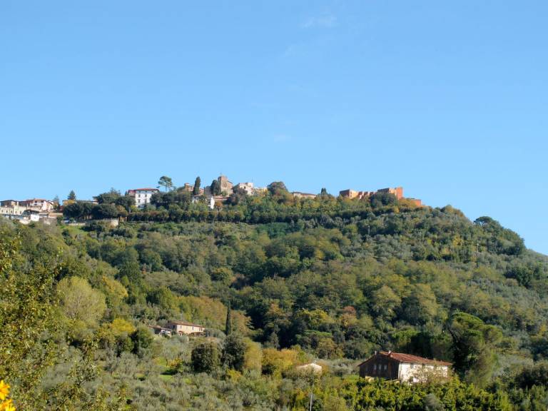 foto42