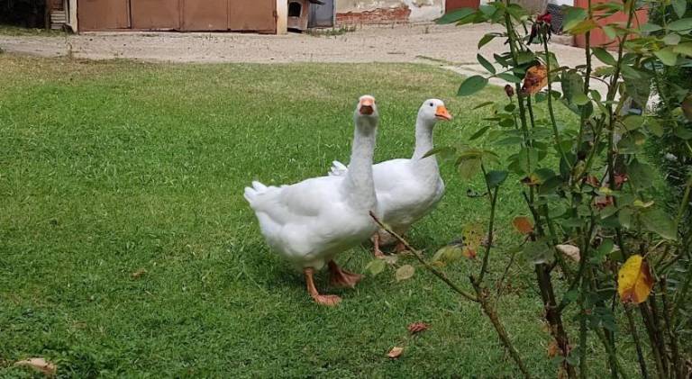 foto41