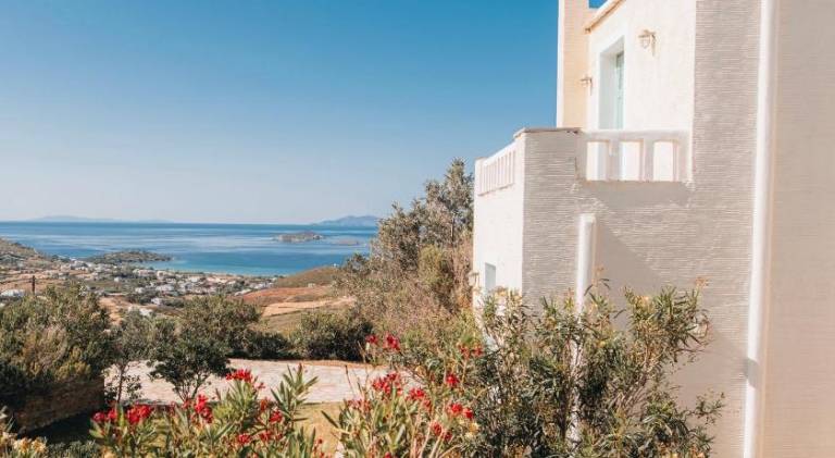 Charming villa with yard & terrace | Suitable for remote work | Pet-friendly in Andros