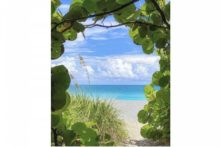 Cottage Lake Worth