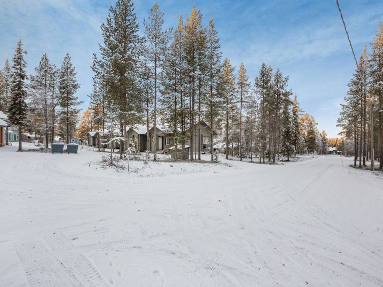 House with sauna — photo 3